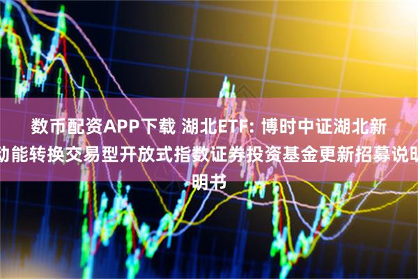 数币配资APP下载 湖北ETF: 博时中证湖北新旧动能转换交易型开放式指数证券投资基金更新招募说明书