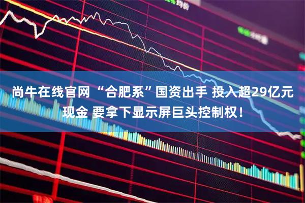 尚牛在线官网 “合肥系”国资出手 投入超29亿元现金 要拿下显示屏巨头控制权!