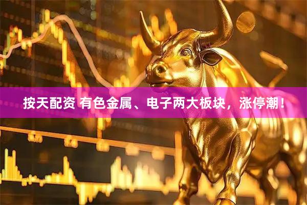 按天配资 有色金属、电子两大板块,涨停潮!