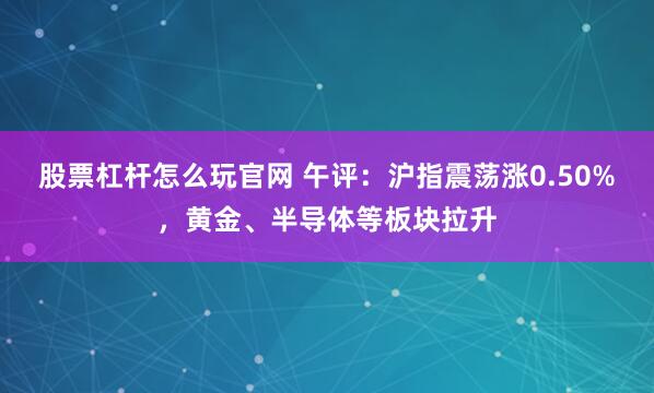 股票杠杆怎么玩官网 午评：沪指震荡涨0.50%，黄金、半导体等板块拉升