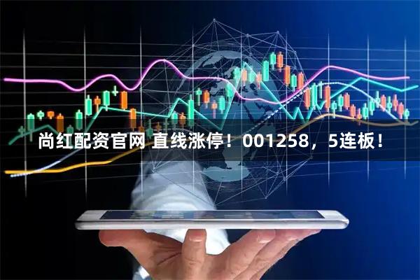 尚红配资官网 直线涨停！001258，5连板！